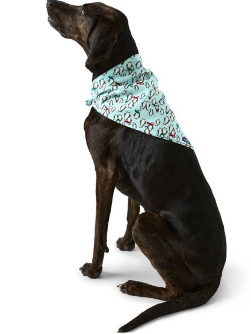 Lands' End Dog Bandana Large Light Blue Winter Penguin Print L